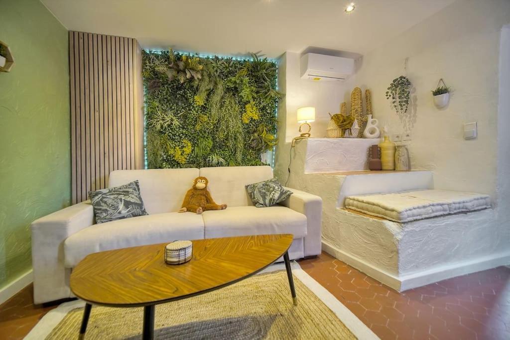 Monkey Forest Appartement Grasse Esterno foto